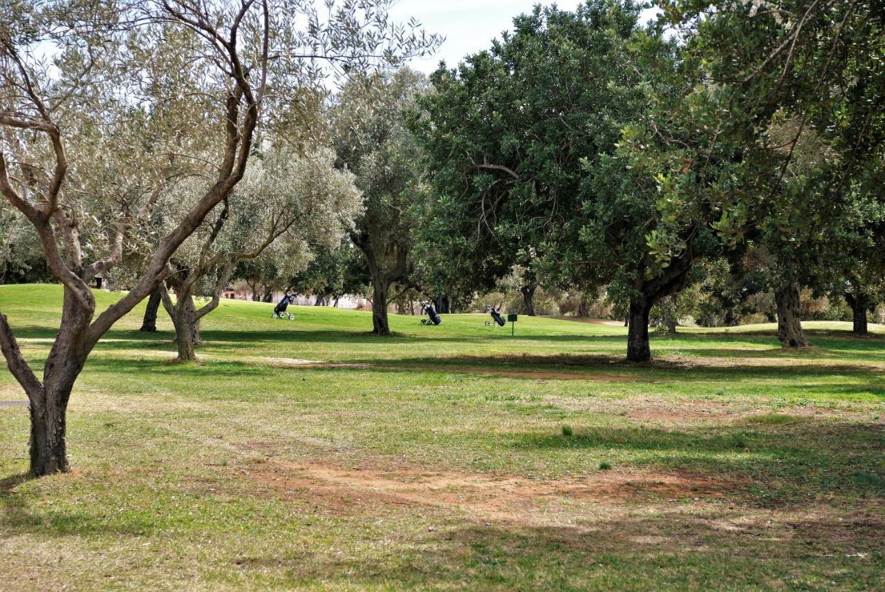 Chalet Adosado De Lujo Para 6 Personas En Golf Panoramica - Internet Fibra Gratis San Jorge  Eksteriør bilde